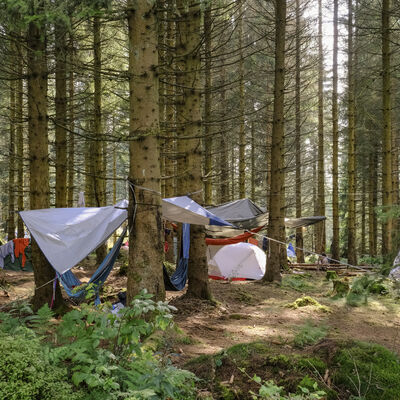 Bild vergr&ouml;&szlig;ern: Rainbow-Gathering
