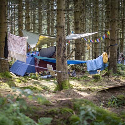 Bild vergr&ouml;&szlig;ern: Das Bild zeigt selbstgebaute Zelt in einem Wald.