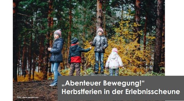 Bild vergr&ouml;&szlig;ern: Das Bild zeigt Kinder im Wald.
