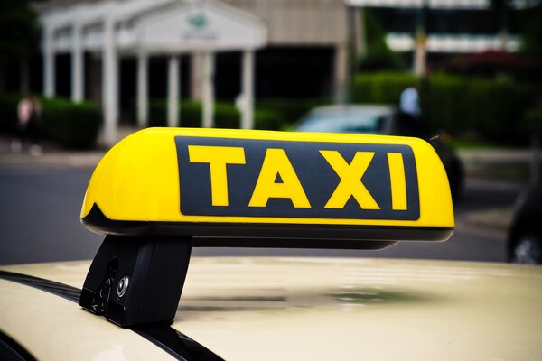 Bild vergr&ouml;&szlig;ern: Taxifahrten